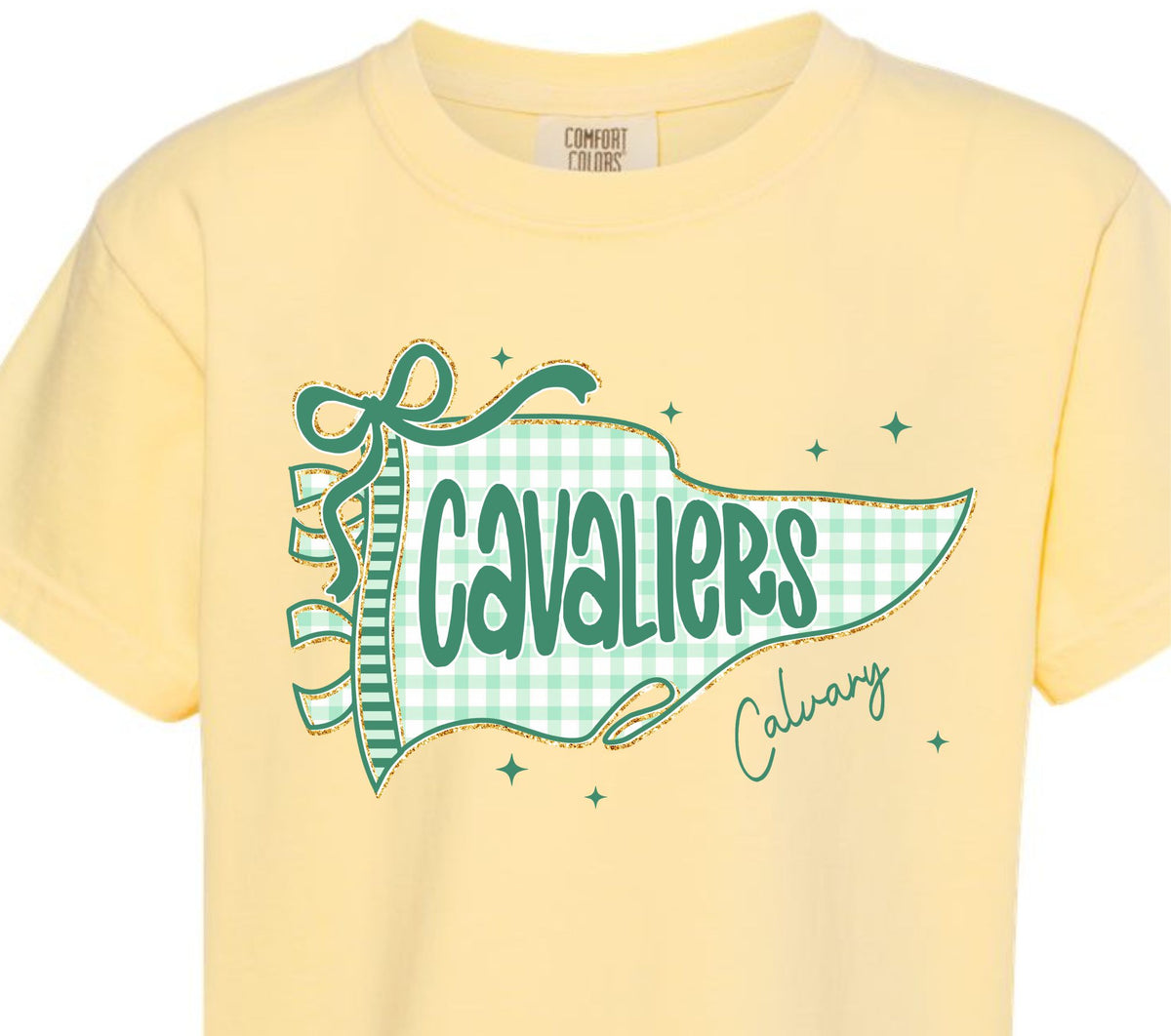 Adult Cavaliers Gingham Pennant Flag T-shirt