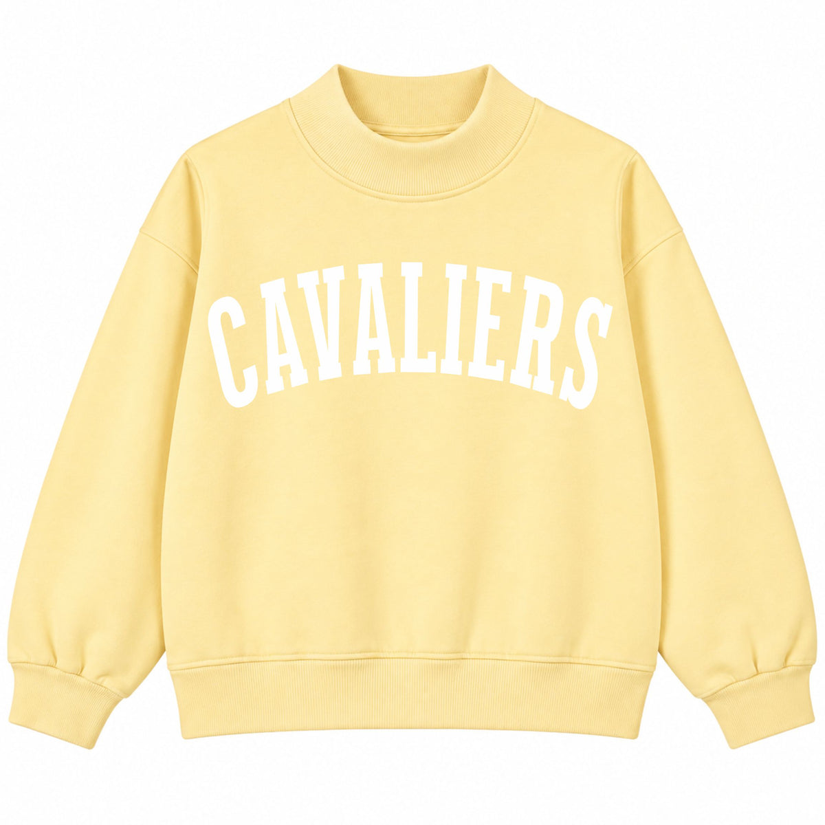 YOUTH Cavaliers Mock Neck Sweatshirt